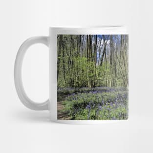 Everdon Stubbs Wood Bluebells Mug